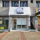 베이비숑 그루밍 이미지