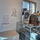 10용사로 | [체험] 동탄 실내 동물 체험 카페, 이색 체험 카페 - 키워볼래&amp;카페