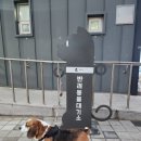 시범 화장실 이미지