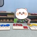 스콜라몬테소리울산북구산하점 | 스콜라몬테소리울산북구점 - 3세 인펀트과정 (기하도형등분-사각형/삼각형/원)활동입니다.