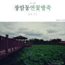 폭서암曝書巖 | 청주 장암동 연꽃방죽, 그저 산책