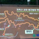 칸트푸드 이미지