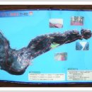 민2 태양광발전소 이미지