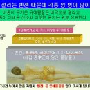 지하실