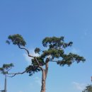 만석거삼거리 이미지