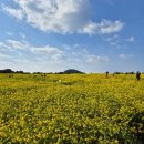 해맞이동산 | [여행] 3박 4일 제주여행 제주도 가볼만한 곳 여행지 추천 #DAY3
