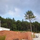 이솔팜빌리지델루나관광펜션 | 휴식공간 숲속힐링 제대로인 고창 이솔팜빌리지 델루나 관광펜션