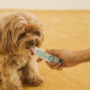 강한우리동물병원 이미지