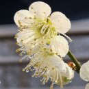 청계천길 이미지