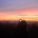 선세 | 호주여행 시드니 블루마운틴 페더데일 동물원 무한투어 후기