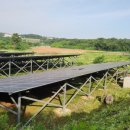 무성햇빛발전소 이미지