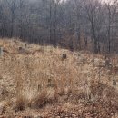 서울 초안산분묘군 이미지