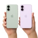 라벤더 | 아이폰17 세이지 라벤더 색상 후기, 실물로 보니 완전히 다르다