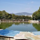 숲속낚시터 이미지