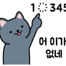 보리떼모노 네이버블로그