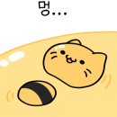 영블리 이미지