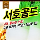 김장무(서호골드무)씨앗 나눔합니다 이미지