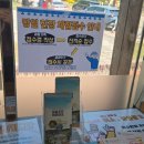 임실치즈피자(후포점) | 5, 7세 임실치즈테마파크 피자 만들기 체험 후기! 예약, 위치, 즐길거리 등