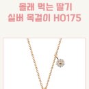 H0170 이미지