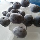 운산농원 이미지