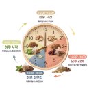 고운나래 | 허브나래 히비스커스 차 100티백 솔직 후기