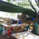 동창농장 이미지