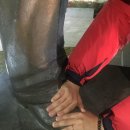 이병철농장 이미지