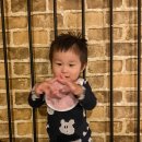 엘페로3 | 홍천애견동반펜션/홍천 독채펜션 엘페로 애견리조트&amp;펜션 후기