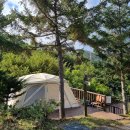 [1박2일]#3. 서울근교 &#34;양주,이고을 캠핑장&#34;(생일캠핑, 22. 10. 9.)