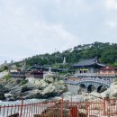 부산 영도 여행 숙소 라발스 호텔 스탠다드오션뷰 후기