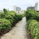 제주 올레길 10-1코스 이미지