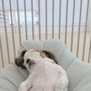 취향저견 이미지