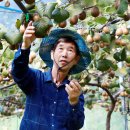 김해농장2 이미지