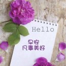 제서주 Daum카페