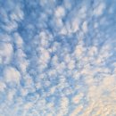 해피메디컬코리아 이미지