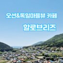 할로브리즈 이미지