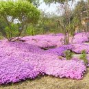 강재구공원 이미지