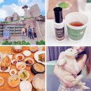 경산의 삽살개육종연구소 | 경산 아이와 가볼만한곳 대구 팔공산 갓바위 하늘호수 카페 삽살개체험 재밌었던 경북 여행 로망스투어