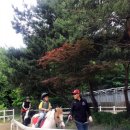 복용승마장 이미지