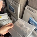 디디인터내셔널 이미지