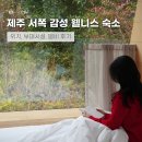 제주 서쪽 신상 감성 숙소 웰니스 여행을 원한다면 에가톳 캐빈