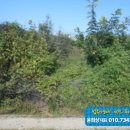 구암동213 이미지