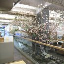 큰집갈비 | 큰집숯불갈비 후기 — 의정부에 산다면 외식하고 싶은곳