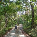 개미휴게식당 이미지