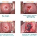 의료법인 엔티엘의료재단 이미지