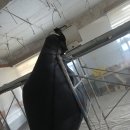 춘의동주민센터 이미지