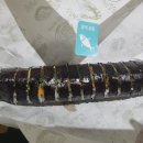 덕소김밥