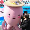 서천-16 이미지