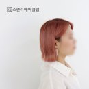로즈헤어클럽 - 동작구 | 로즈헤어클럽