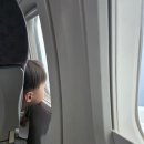 대명빌리지 버스승강장 | 2박3일 오키나와여행 1일차 제주항공꿀팁 + 나하공항에서 차탄가는 버스 왕복이용